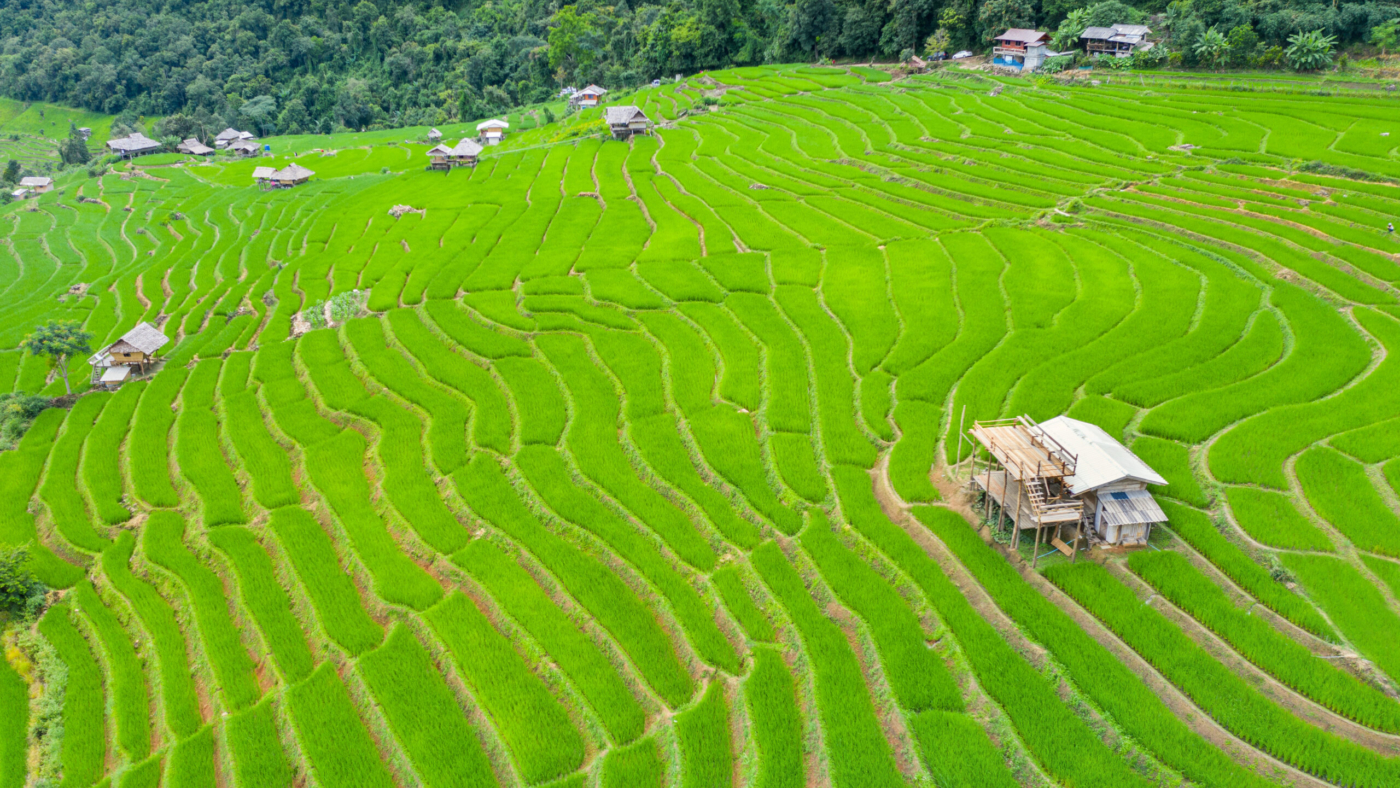 Aerial view of Rice terrace at Ban pa bong piang in Chiang mai, Thailand.