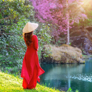 Woman wearing Vietnam culture traditional in cherry blossom park.